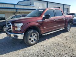 Salvage cars for sale from Copart Earlington, KY: 2016 Ford F150 Supercrew