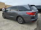 2021 Honda Odyssey EXL