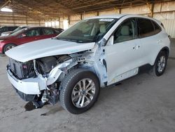 Salvage cars for sale at Phoenix, AZ auction: 2020 Ford Escape SE