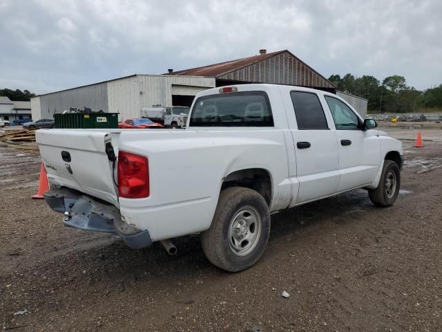 2007 Dodge Dakota Quattro