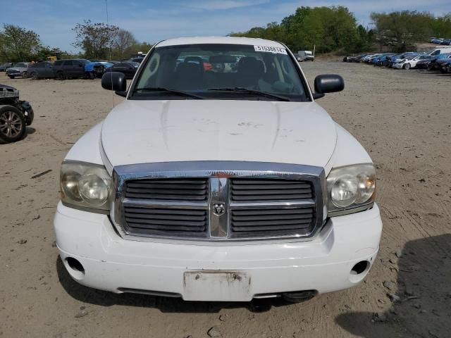 2007 Dodge Dakota Quattro