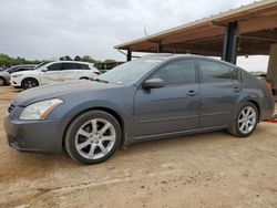 Nissan Maxima SE salvage cars for sale: 2008 Nissan Maxima SE