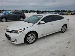 Salvage cars for sale from Copart Arcadia, FL: 2013 Toyota Avalon Hybrid