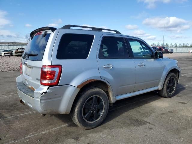 2011 Ford Escape XLT