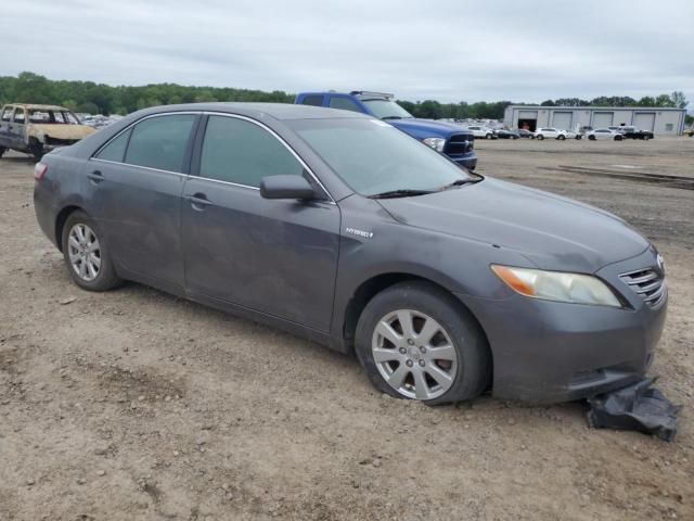 2007 Toyota Camry Hybrid