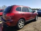 2007 Hyundai Santa FE SE