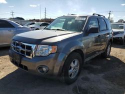 Salvage cars for sale at Chicago Heights, IL auction: 2009 Ford Escape XLT