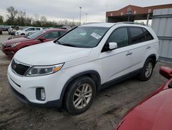Salvage cars for sale at Fort Wayne, IN auction: 2015 KIA Sorento LX
