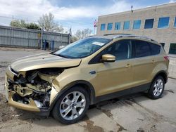 Salvage cars for sale at Littleton, CO auction: 2014 Ford Escape Titanium