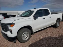 Salvage cars for sale at Phoenix, AZ auction: 2023 Chevrolet Silverado C1500