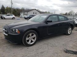 Dodge salvage cars for sale: 2014 Dodge Charger SXT