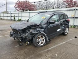 Vehiculos salvage en venta de Copart Moraine, OH: 2014 Ford Escape SE