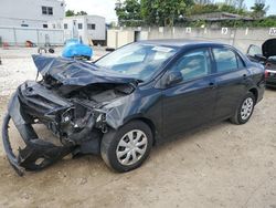 Vehiculos salvage en venta de Copart Opa Locka, FL: 2013 Toyota Corolla Base