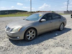 Salvage cars for sale at Tifton, GA auction: 2004 Nissan Maxima SE
