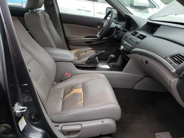 2009 Honda Accord EXL