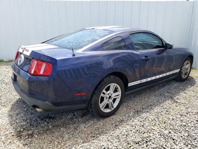 2010 Ford Mustang