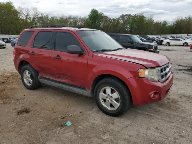 2011 Ford Escape XLT