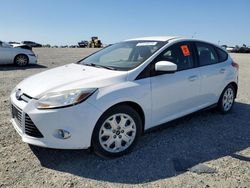 Ford Focus salvage cars for sale: 2012 Ford Focus SE