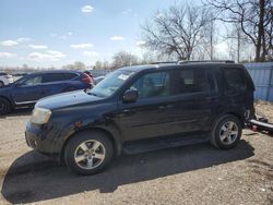 Salvage cars for sale from Copart London, ON: 2009 Honda Pilot EXL