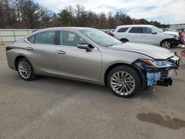 2019 Lexus ES 350