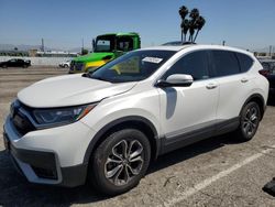 Vehiculos salvage en venta de Copart Van Nuys, CA: 2020 Honda CR-V EX