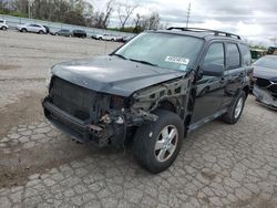 Salvage cars for sale at Bridgeton, MO auction: 2011 Ford Escape XLT