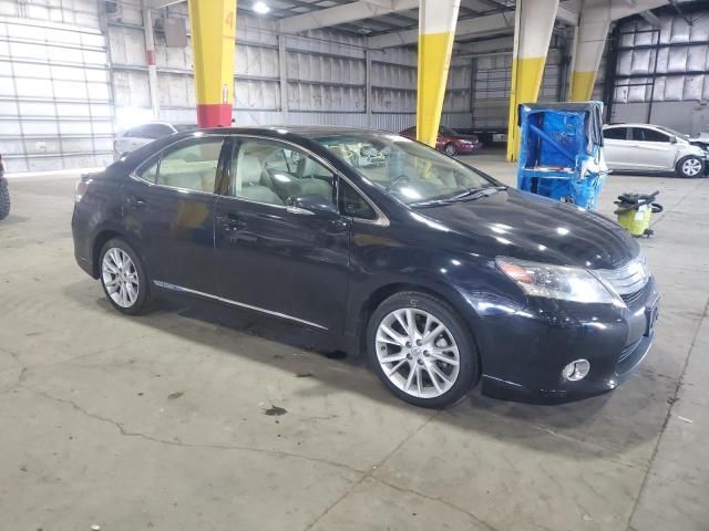 2010 Lexus HS 250H