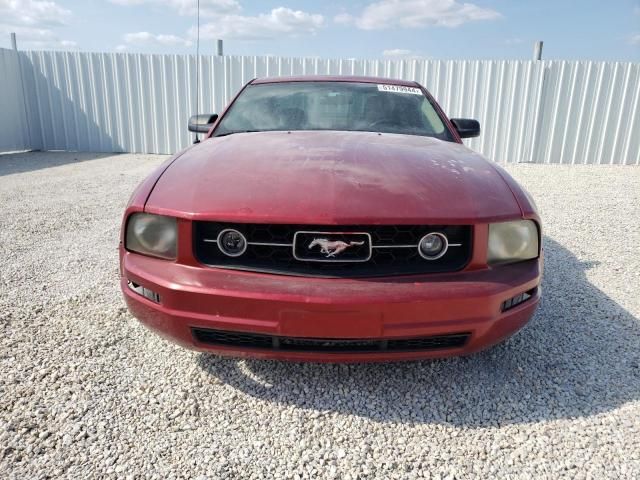 2006 Ford Mustang