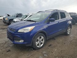 Ford Escape se salvage cars for sale: 2013 Ford Escape SE