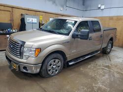 Salvage cars for sale at Kincheloe, MI auction: 2012 Ford F150 Supercrew