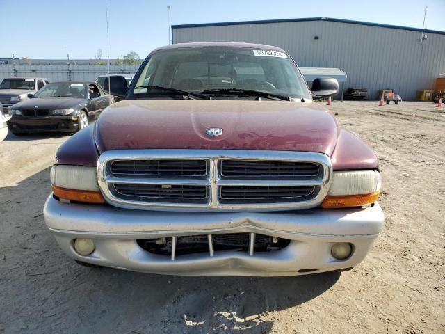 2003 Dodge Dakota Quad SLT