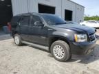 2013 Chevrolet Tahoe Hybrid