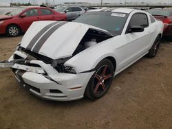 Salvage cars for sale at Elgin, IL auction: 2014 Ford Mustang