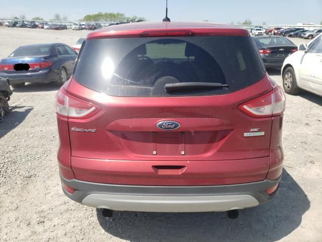 2013 Ford Escape SE