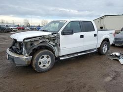 Salvage trucks for sale at Rocky View County, AB auction: 2013 Ford F150 Supercrew