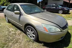 Salvage cars for sale from Copart Rancho Cucamonga, CA: 2003 Honda Accord LX