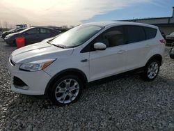 Ford Escape SEL salvage cars for sale: 2013 Ford Escape SEL