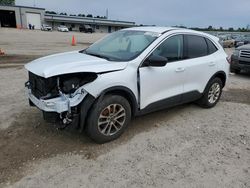 Salvage cars for sale from Copart Harleyville, SC: 2022 Ford Escape SE