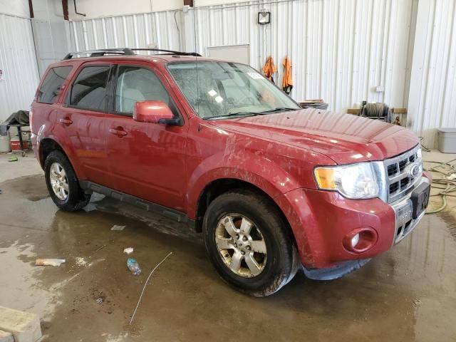 2010 Ford Escape Limited