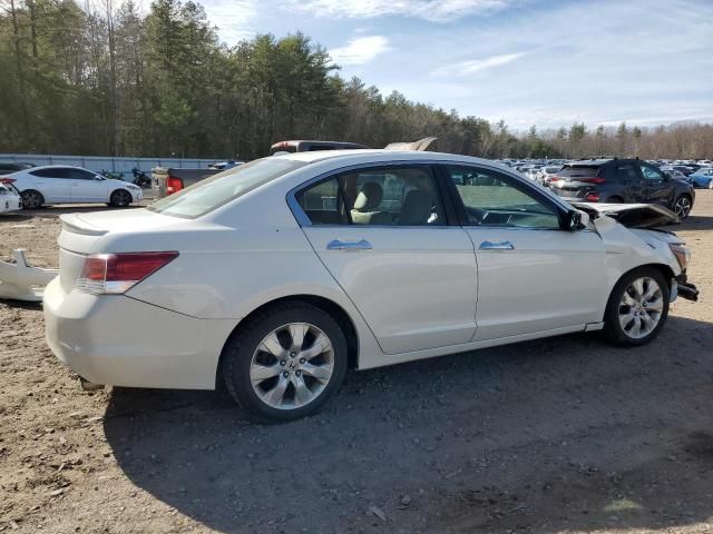 2008 Honda Accord EXL