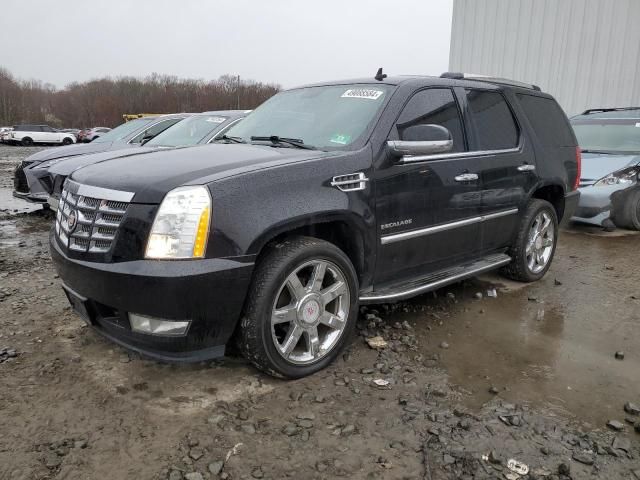 2014 Cadillac Escalade Luxury