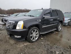 Cadillac salvage cars for sale: 2014 Cadillac Escalade Luxury