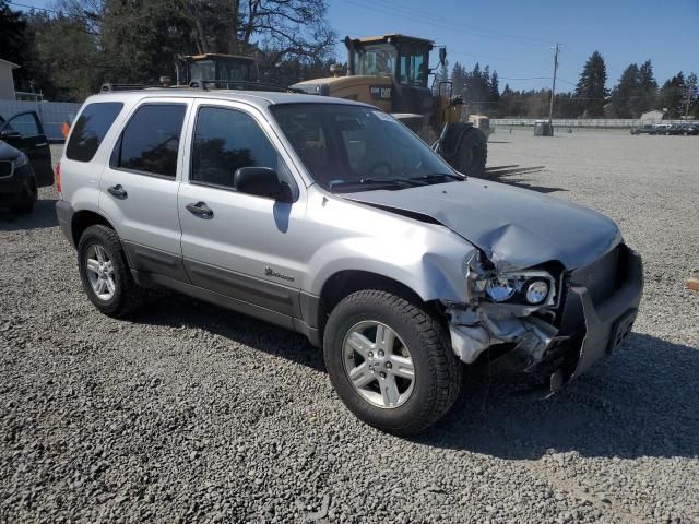 2006 Ford Escape HEV