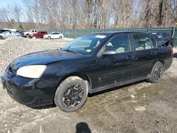 Chevrolet salvage cars for sale: 2007 Chevrolet Malibu LS