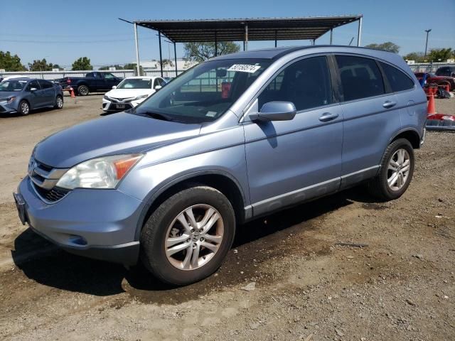 2010 Honda CR-V EXL