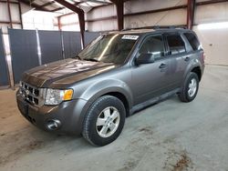 Ford Escape XLT salvage cars for sale: 2012 Ford Escape XLT