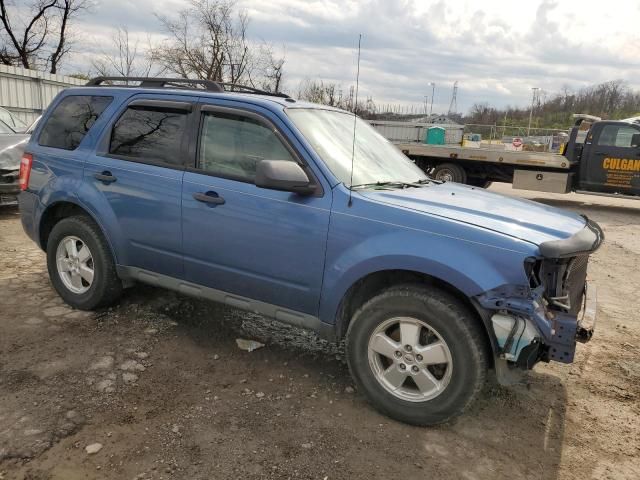 2010 Ford Escape XLT