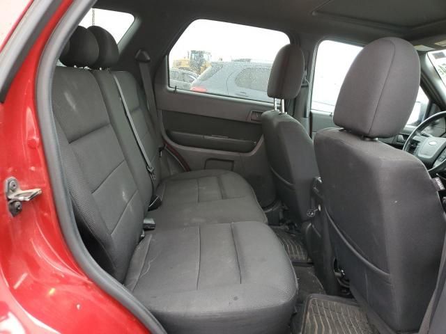 2009 Ford Escape XLT