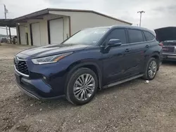 Salvage cars for sale at Temple, TX auction: 2023 Toyota Highlander Hybrid Platinum