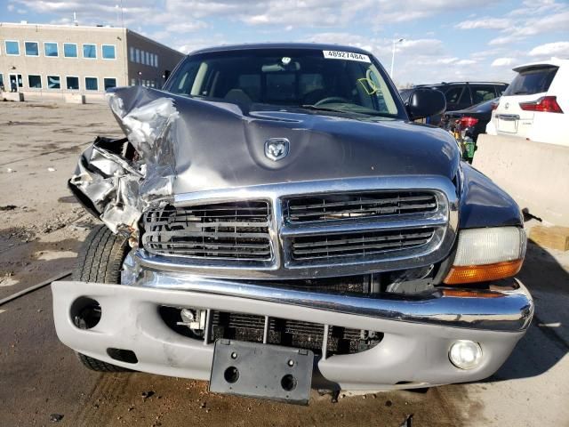 2003 Dodge Dakota Quad SLT